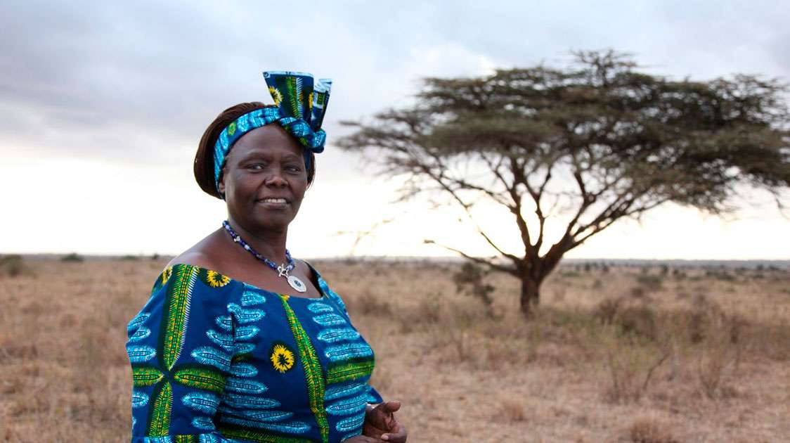 Maathai Wangari