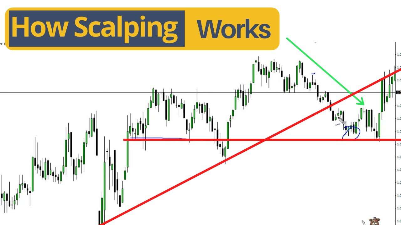 The best forex scalping trading strategies best forex copy trader